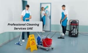 professional cleaning services uae