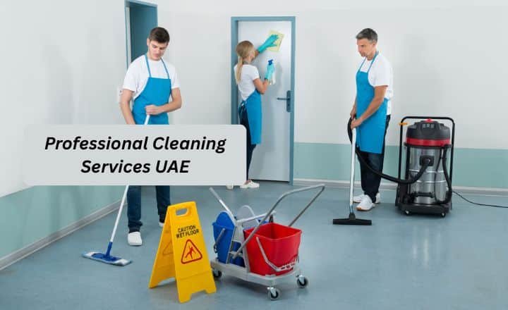 professional cleaning services uae
