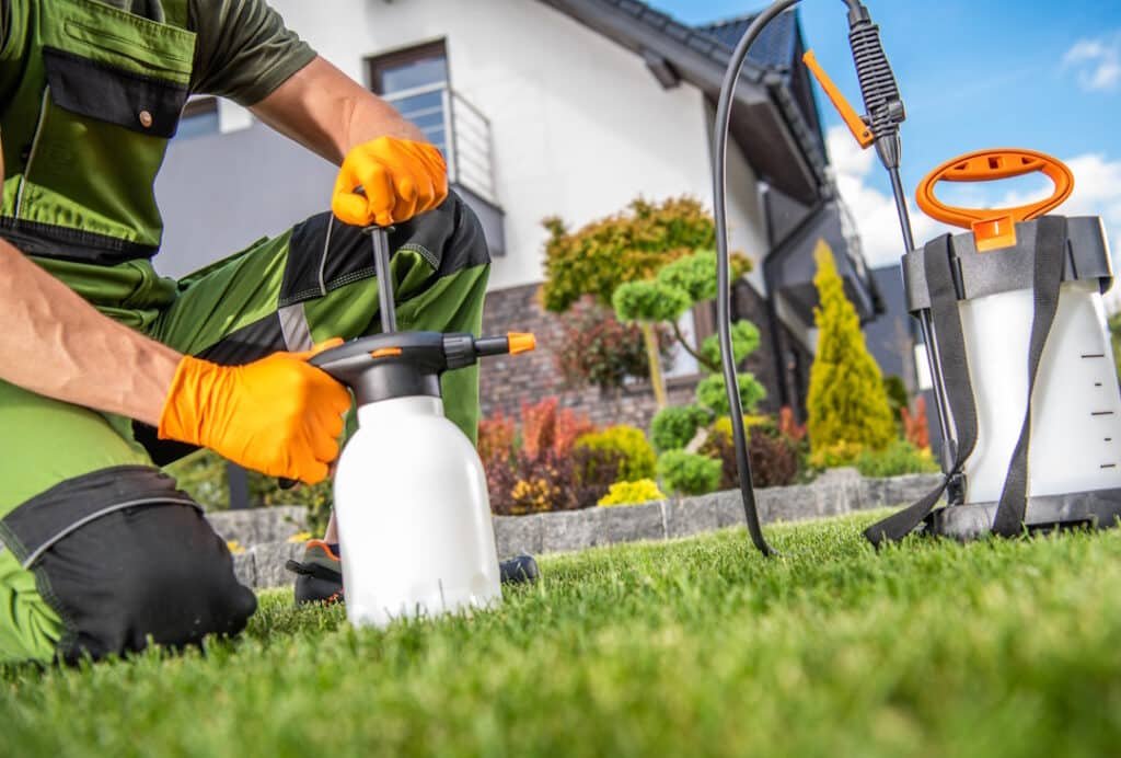 back yard garden insecticide job performed by caucasian garden worker