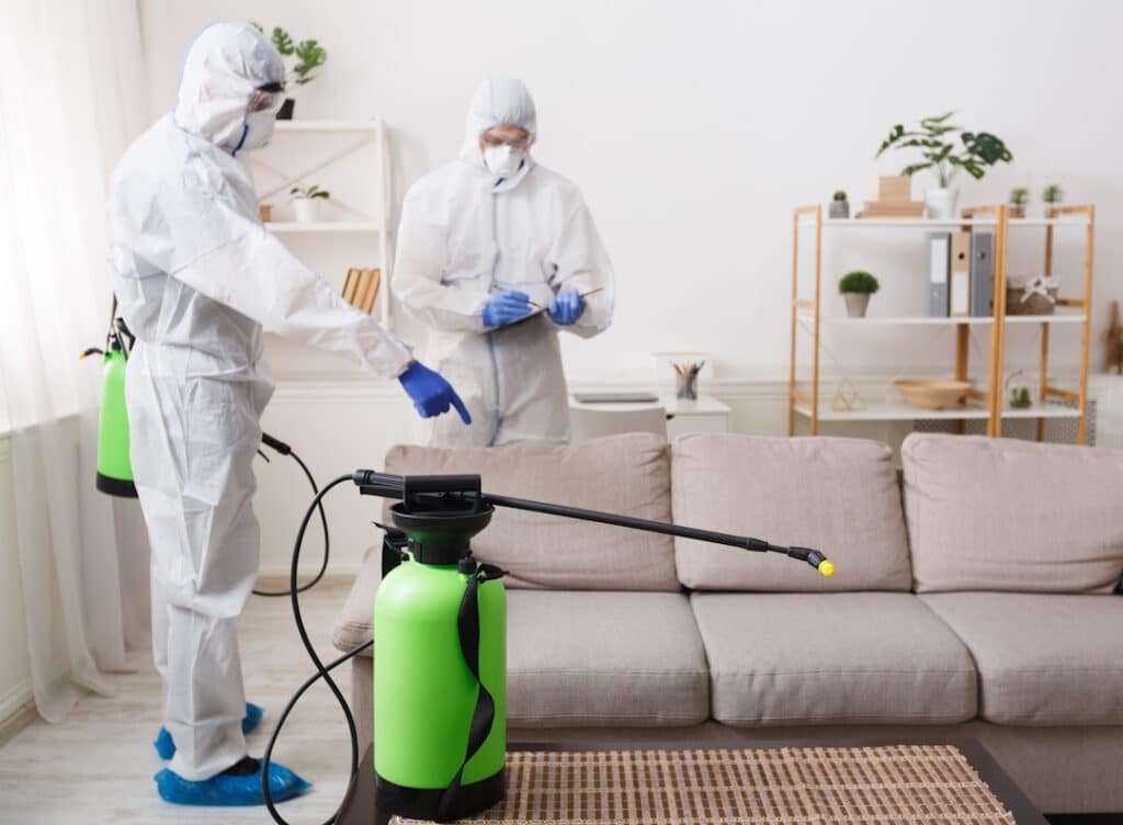 disinfection specialists cleaning a home interior 2026 03 24 02 25 07 utc