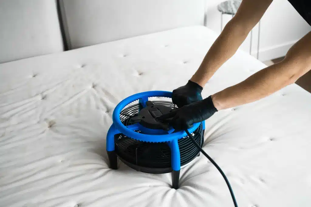 fan for drying mattress after stain removal 2026 04 04 23 47 31 utc
