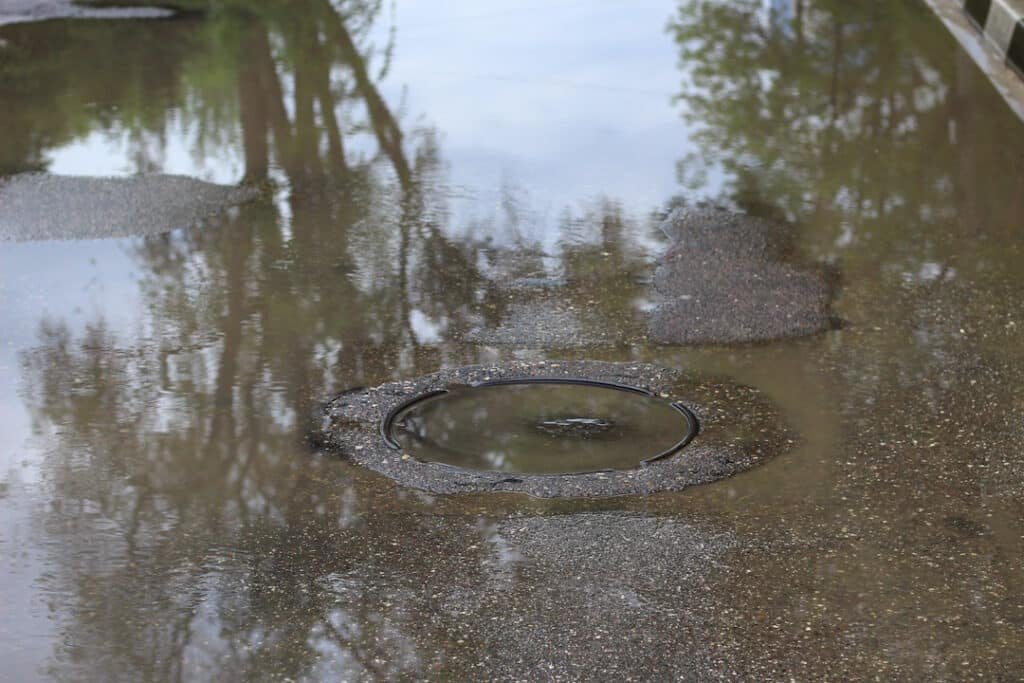 puddle reflecting trees and sky on street 2026 03 26 07 50 45 utc