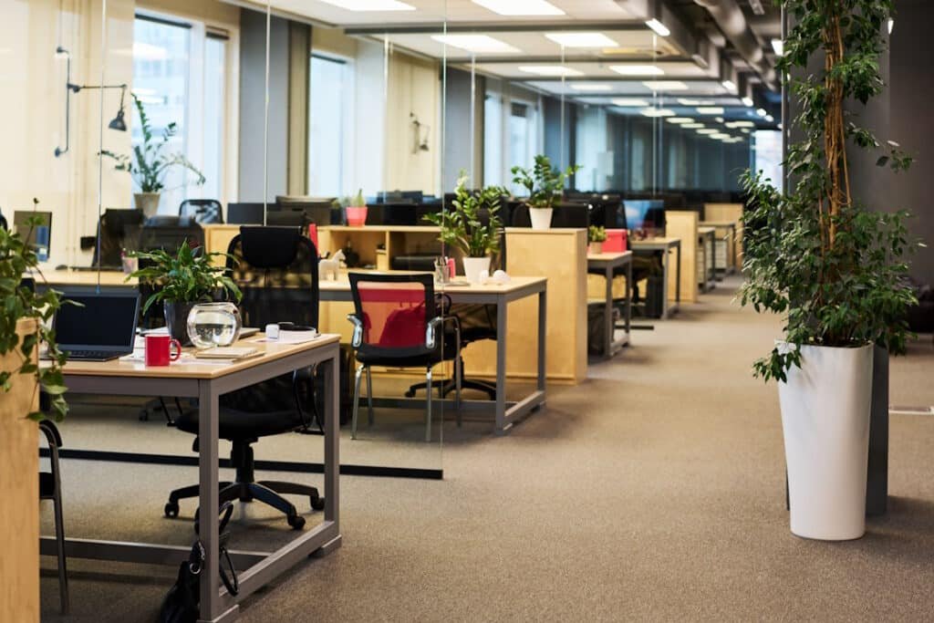 spacious office with large number of green plants 2026 03 24 13 58 37 utc