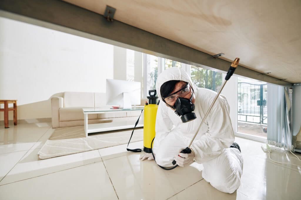 worker in protective gear inspecting under furnitu 2026 03 18 05 31 06 utc